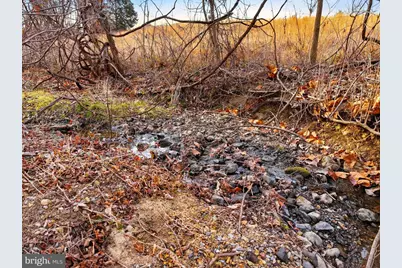 5911 Smith Creek Road, New Market, VA 22844 - Photo 68