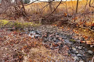 5911 Smith Creek Rd, New Market, VA 22844 - Photo 68