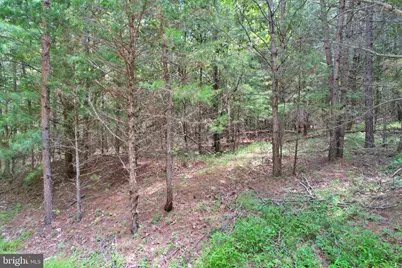 Alum Springs Road, Edinburg, VA 22824 - Photo 12