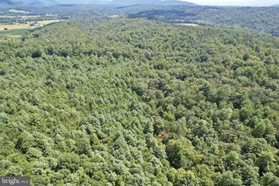 Alum Springs Road, Edinburg, VA 22824 - Photo 10