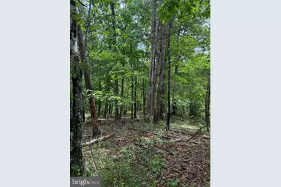 Alum Springs Road, Edinburg, VA 22824 - Photo 20