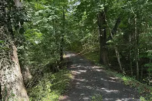 769 S Water St, Woodstock, VA 22664 - Photo 4