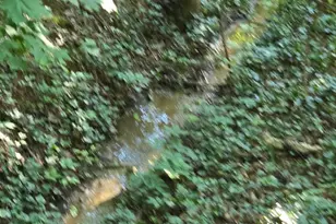 769 S Water St, Woodstock, VA 22664 - Photo 36