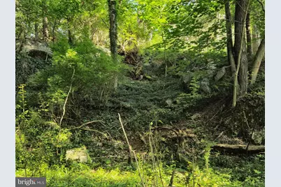 769 S Water Street, Woodstock, VA 22664 - Photo 38