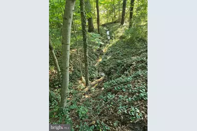 769 S Water Street, Woodstock, VA 22664 - Photo 34