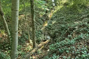 769 S Water St, Woodstock, VA 22664 - Photo 34