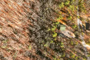 509 Alpine Way, Mount Jackson, VA 22842 - Photo 48