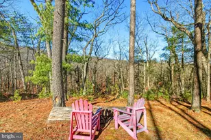 509 Alpine Way, Mount Jackson, VA 22842 - Photo 12