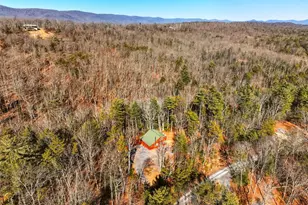 509 Alpine Way, Mount Jackson, VA 22842 - Photo 50