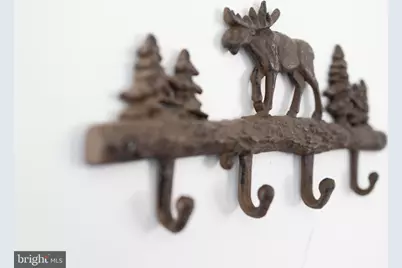 509 Alpine Way, Mount Jackson, VA 22842 - Photo 42