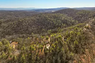 509 Alpine Way, Mount Jackson, VA 22842 - Photo 46