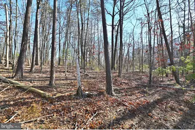 Jerome Road, Edinburg, VA 22824 - Photo 10