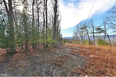 Jerome Road, Edinburg, VA 22824 - Photo 16