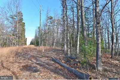 Jerome Road, Edinburg, VA 22824 - Photo 14