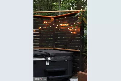 162 Forrest Street, Basye, VA 22810 - Photo 38