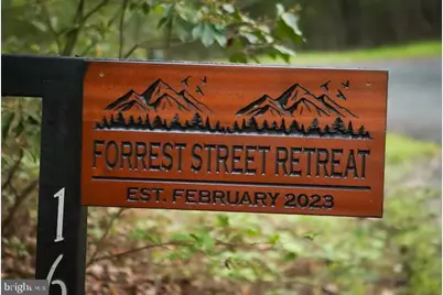 162 Forrest Street, Basye, VA 22810 - Photo 40