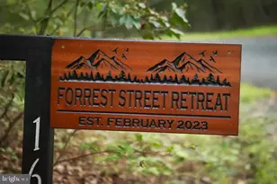 162 Forrest St, Basye, VA 22810 - Photo 40