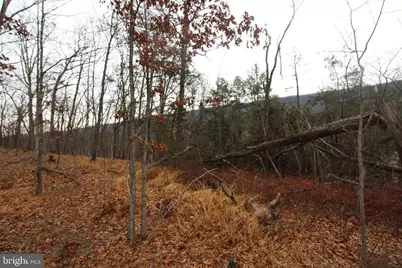 362 Riverview Drive, Maurertown, VA 22644 - Photo 8