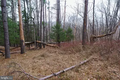 362 Riverview Drive, Maurertown, VA 22644 - Photo 12