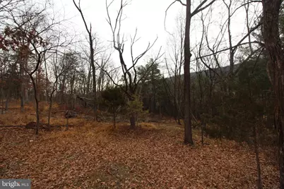 362 Riverview Drive, Maurertown, VA 22644 - Photo 14