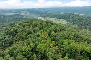 760 Hilltop Ln, Mount Jackson, VA 22842 - Photo 28