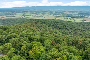 760 Hilltop Ln, Mount Jackson, VA 22842 - Photo 26