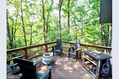 141 Mallard Drive, Basye, VA 22810 - Photo 12