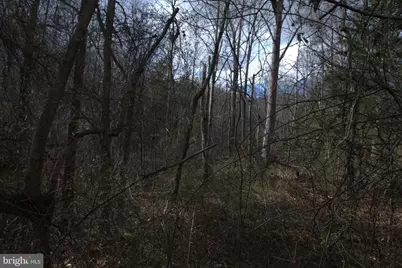 Three Mile Bank Lane, Edinburg, VA 22824 - Photo 14