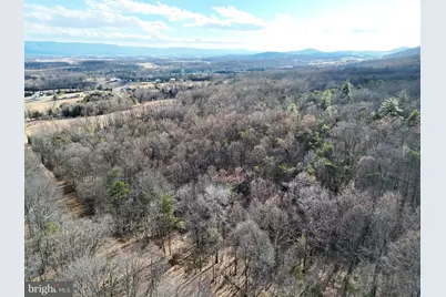 Three Mile Bank Lane, Edinburg, VA 22824 - Photo 8