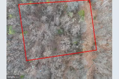 Three Mile Bank Lane, Edinburg, VA 22824 - Photo 2