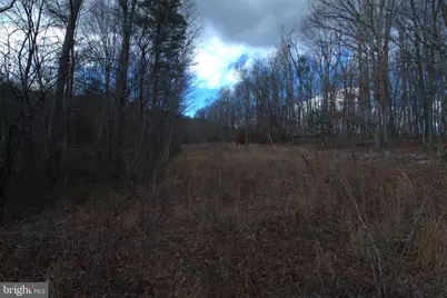 Three Mile Bank Lane, Edinburg, VA 22824 - Photo 10