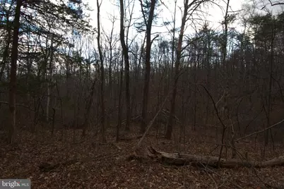 Three Mile Bank Lane, Edinburg, VA 22824 - Photo 12