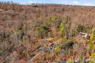 151 Patrick Ln, Mount Jackson, VA 22842 - Photo 52