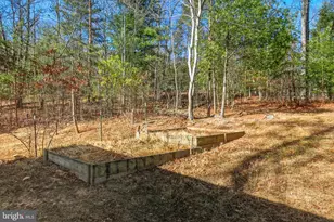 151 Patrick Ln, Mount Jackson, VA 22842 - Photo 36