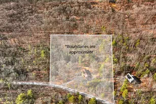 151 Patrick Ln, Mount Jackson, VA 22842 - Photo 30