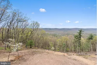 4101 Supinlick Ridge Rd, Mount Jackson, VA 22842 - Photo 6