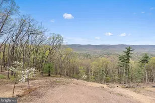 4101 Supinlick Ridge Rd, Mount Jackson, VA 22842 - Photo 6