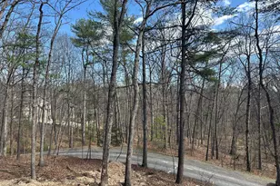 5 Pin Oak Ln, Basye, VA 22810 - Photo 22