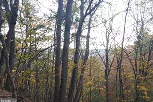 0 Fairway Ave, Basye, VA 22810 - Photo 1