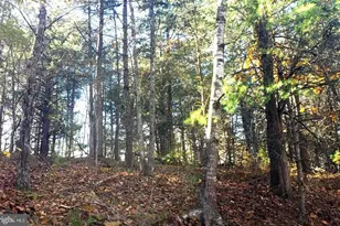 0 Fairway Dr, Basye, VA 22810 - Photo 1