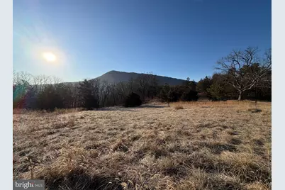 442 Pouts Hill Road, Strasburg, VA 22657 - Photo 12