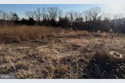 442 Pouts Hill Road, Strasburg, VA 22657 - Photo 10