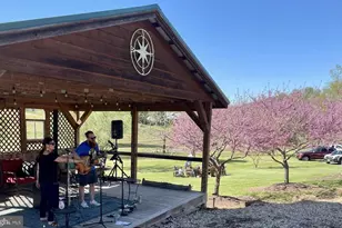 2110 Quicksburg Rd, Quicksburg, VA 22847 - Photo 12