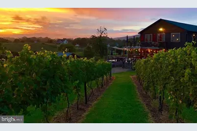 2110 Quicksburg Road, Quicksburg, VA 22847 - Photo 18