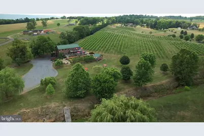 2110 Quicksburg Road, Quicksburg, VA 22847 - Photo 2