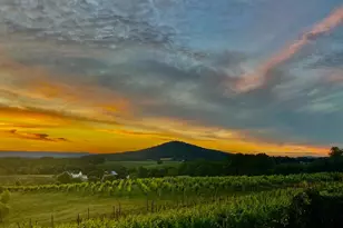 2110 Quicksburg Rd, Quicksburg, VA 22847 - Photo 14