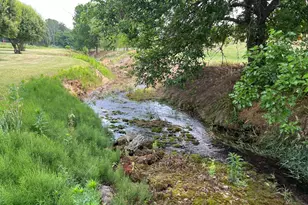 2110 Quicksburg Rd, Quicksburg, VA 22847 - Photo 50