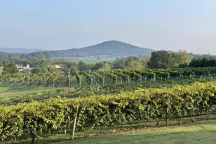 2110 Quicksburg Rd, Quicksburg, VA 22847 - Photo 12