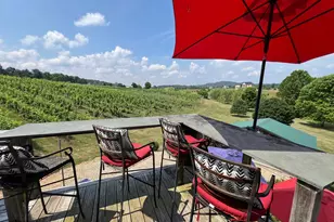 2110 Quicksburg Rd, Quicksburg, VA 22847 - Photo 46