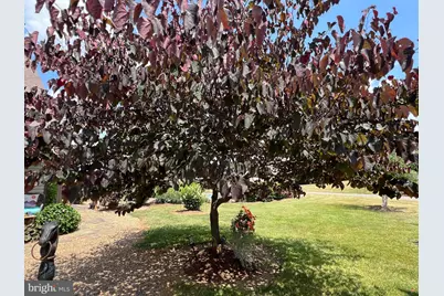 2110 Quicksburg Road, Quicksburg, VA 22847 - Photo 48